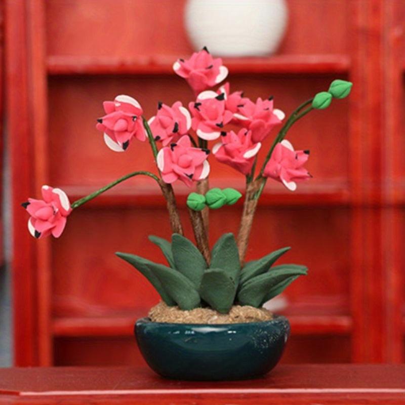 Miniature Flower Pots Garden S - Tagine Clay Pot review and price