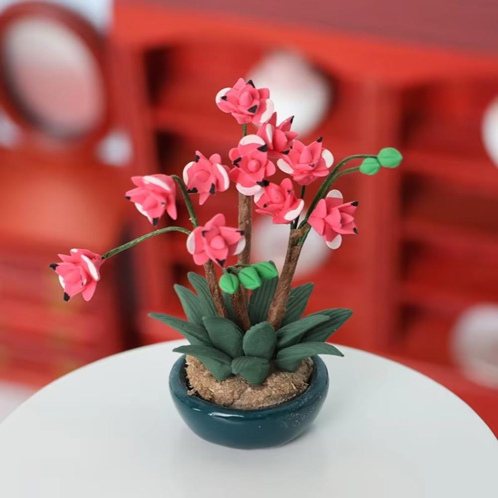 Miniature Flower Pots Garden S - Tagine Clay Pot review and price